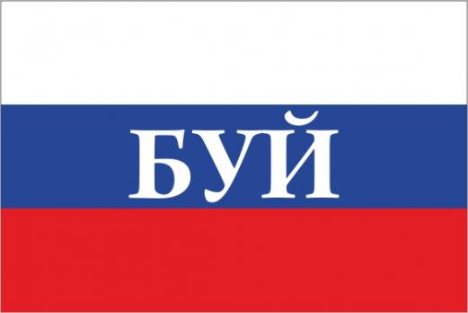 Флаг России с названием города Буй