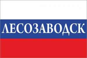 Флаг России с названием города Лесозаводск