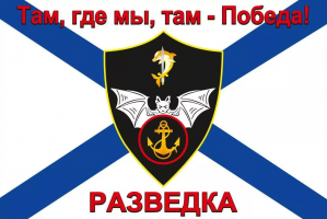 Флаг Разведки Морской пехоты России