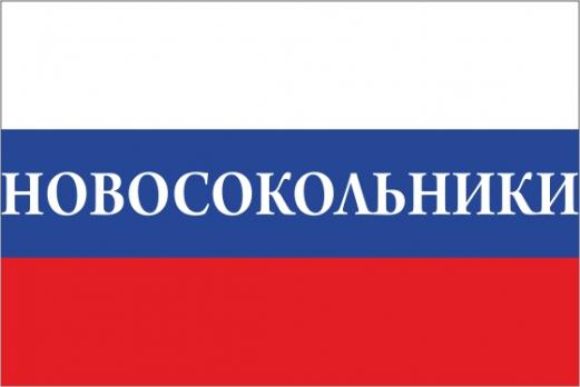Флаг России с названием города Новосокольники