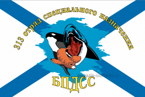 Флаг ВМФ  313 отряд специального назначения БПДСС