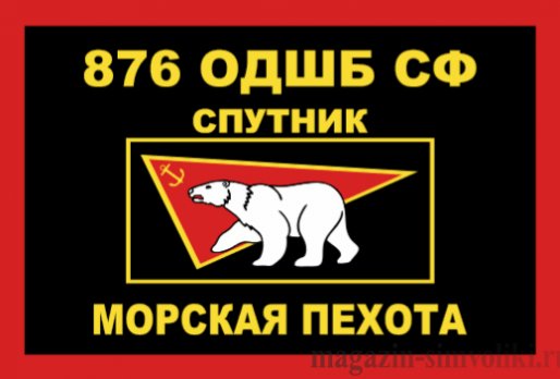 Флаг Морской пехоты 876 ОДШБ СФ СПУТНИК
