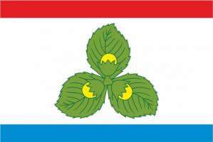 Флаг Краснознамеска