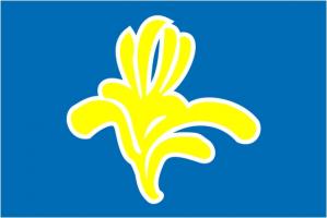 Флаг города Брюссель