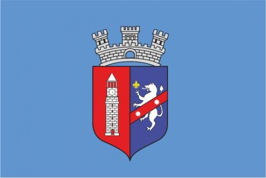 Флаг города Тиран