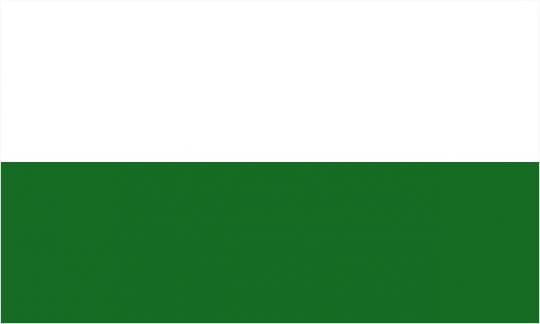 Флаг Свободного государства Саксония
